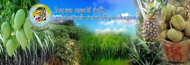 บริษัท โกลบอล ครอปส์ จำกัด