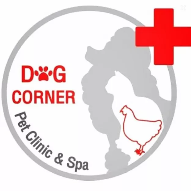 หางาน,สมัครงาน,งาน DC petclinic URGENTLY NEEDED JOBS